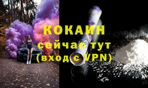 твердый Богородск