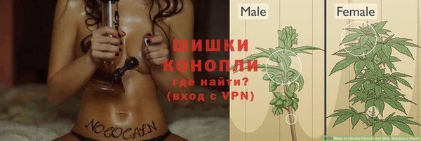 a pvp Богданович