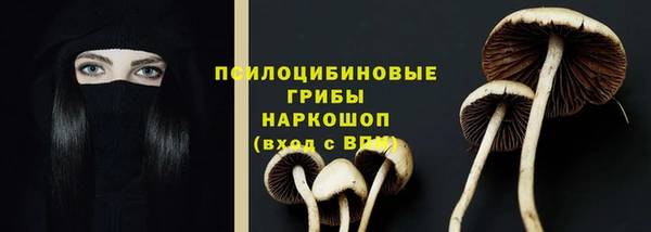 твердый Богородск