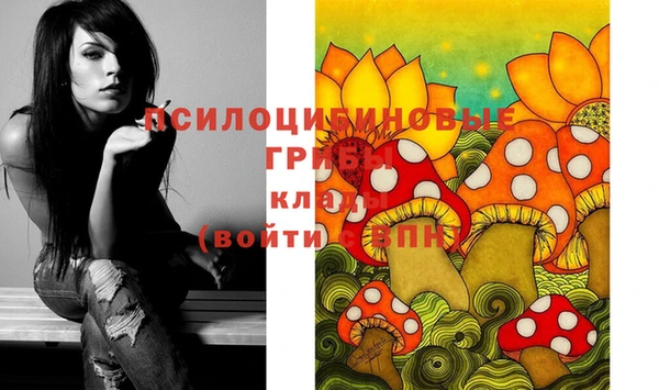 твердый Богородск