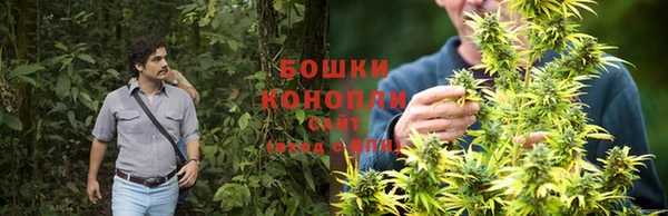 твердый Богородск