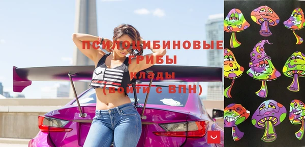 твердый Богородск