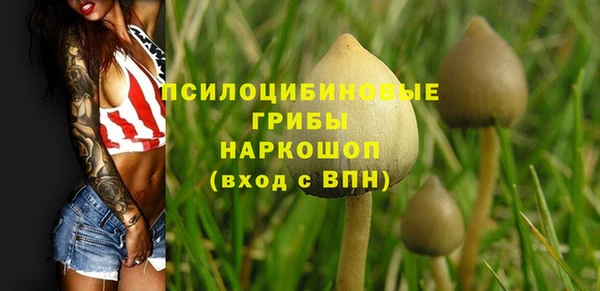 твердый Богородск