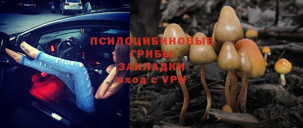 прущая мука Богородицк