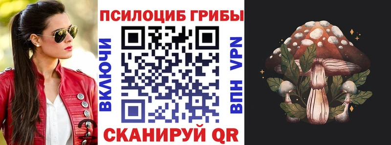 мориарти телеграм  Духовщина  Псилоцибиновые грибы прущие грибы 